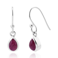 Robijn Oorhangers model E7-008